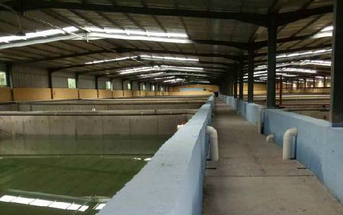 崇仁对虾养殖基地扩建完成主体建设