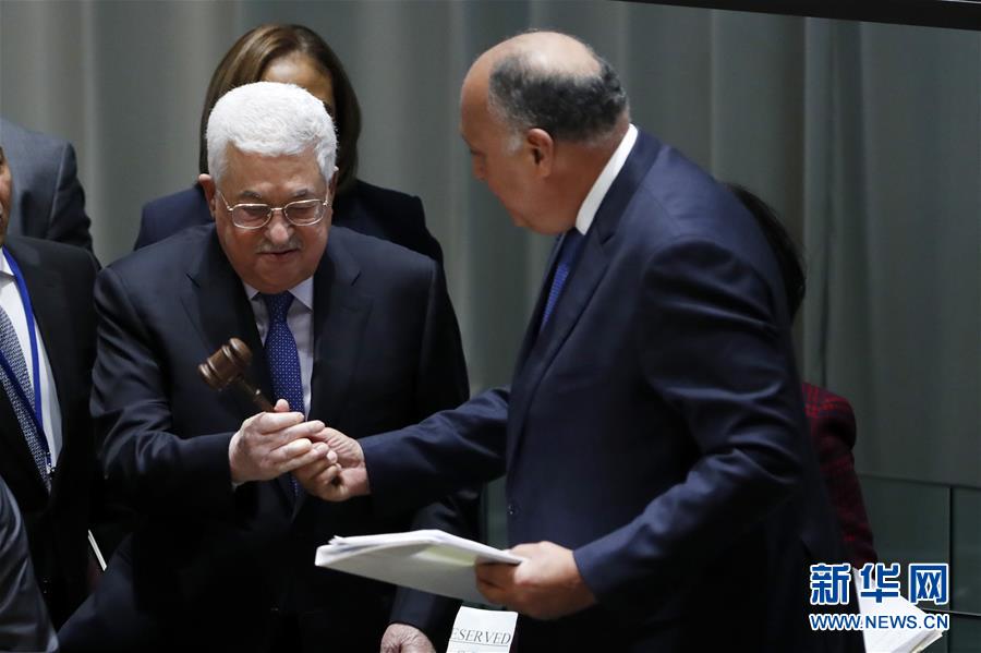 巴勒斯坦接替埃及出任"77国集团和中国"主席国