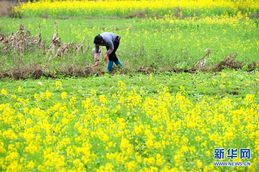 三位“大”医生