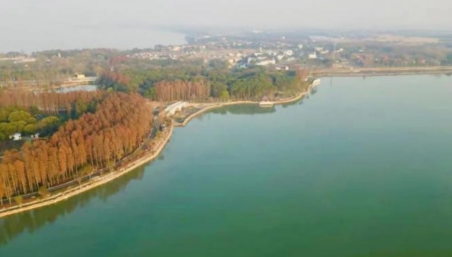 元荡桥成为“网红地标”打卡点