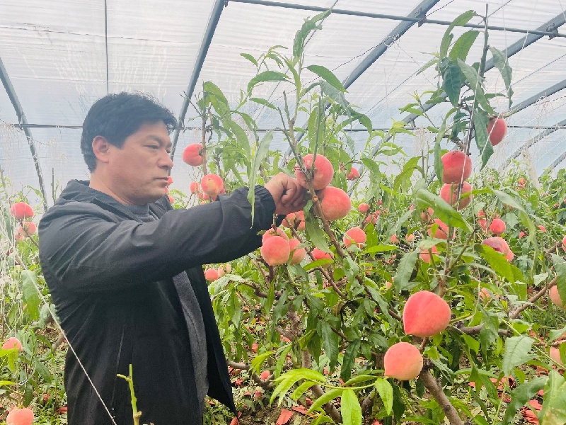 王永辉：用一张“绿色牌”让耕者食者皆欢欣