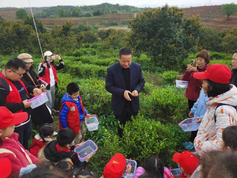 李良武：一品富百亩，千树杨梅乐万户人家