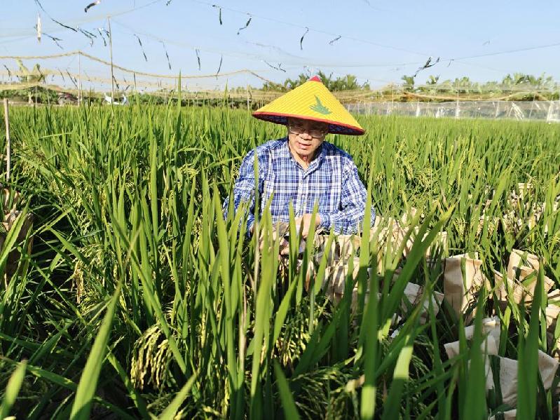 宋德明：让“天府粮仓”装满稳糖米