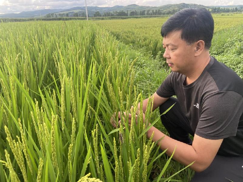 王双：守护黑土地，让“灯塔”品牌走出家乡