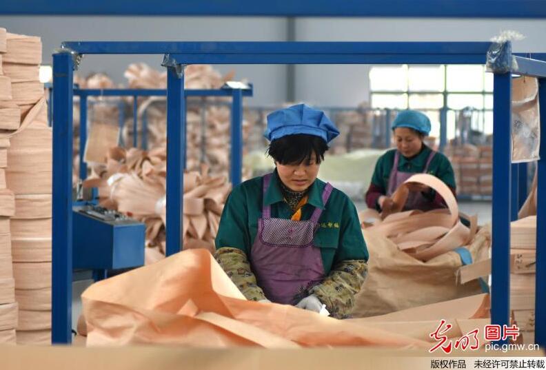 【新常态•光明论】贾康：供给侧改革与西方供给学派迥然不同