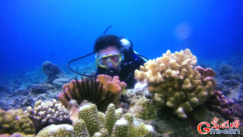 科学纪录片《守护南海珊瑚林》幕后花絮