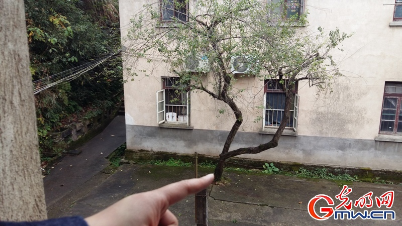 非遗传承：徽墨最好的时候