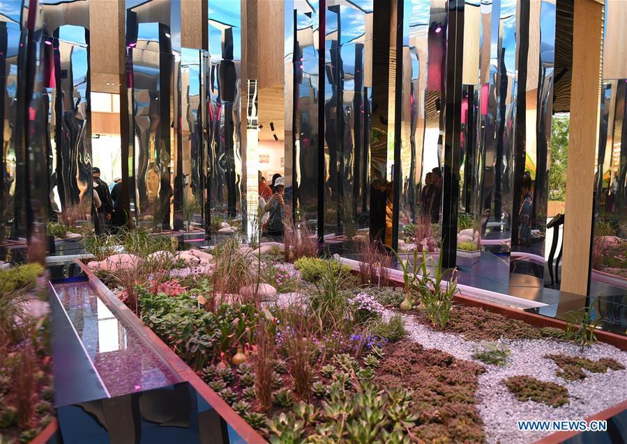 Gardening video from horticultural exhibition promotes international cooperation on green living