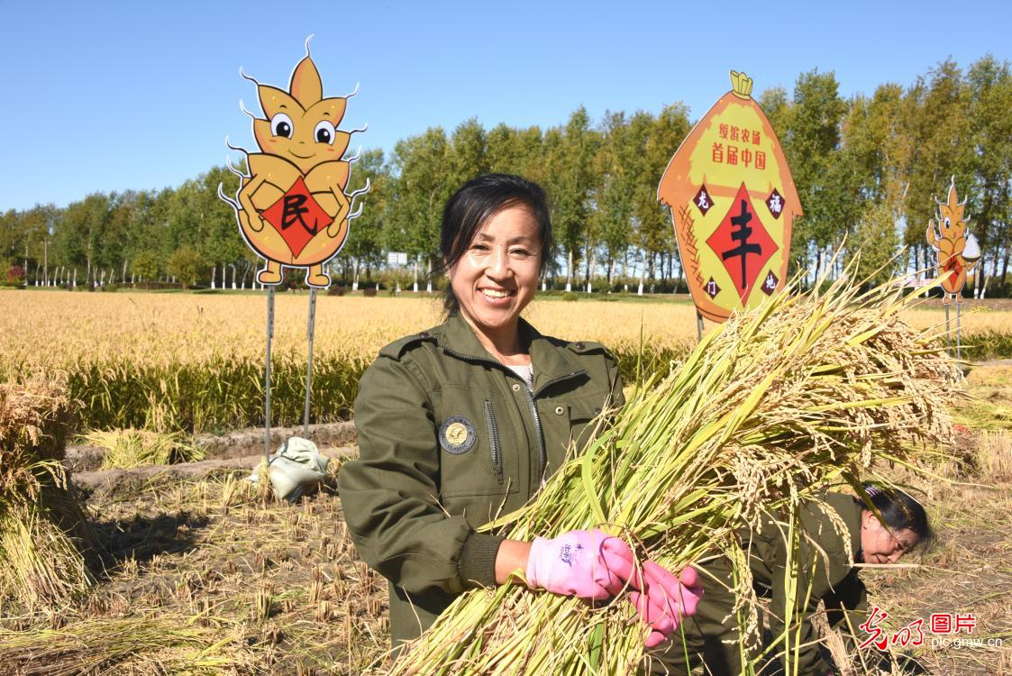 绥滨农场迎秋收