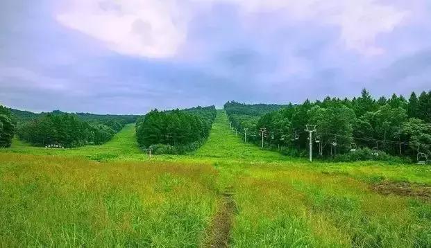 八月 与“伊”有约！第二届全省旅发大会26日伊春启幕