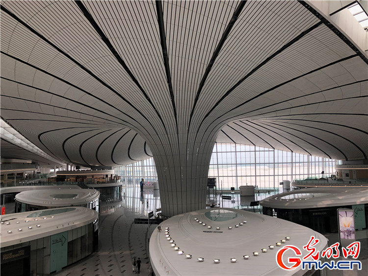 【瓣瓣同心•协同五年谱新篇】大兴国际机场即将展翅高飞 加速带动京津冀协同发展 【瓣瓣同心•协同五年谱新篇】大兴国际机场即将展翅高飞 加速带动京津冀协同发展