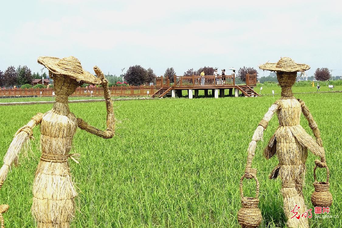 黑龙江：环保草编艺术助推美丽乡村旅游发展