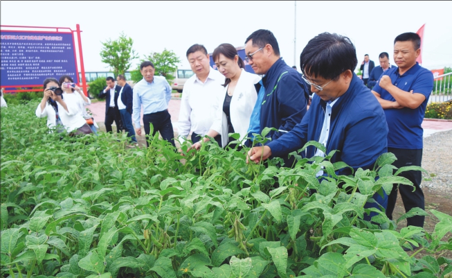 示范先行 点绿成金——农业绿色发展示范区建设获点赞