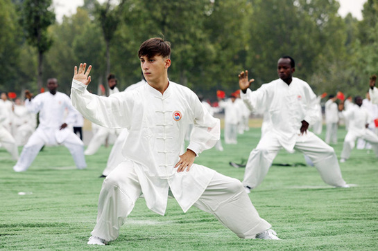 “一带一路”太极行活动 “一带一路”太极行活动