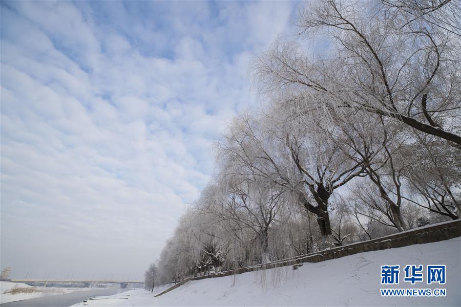 光明网《水晶宝贝》公益助孕计划宣传片