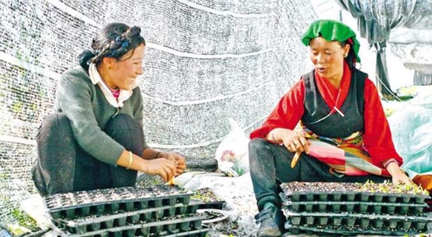 春节生活见闻 f44d305ea48e1fa9c18b44.jpg