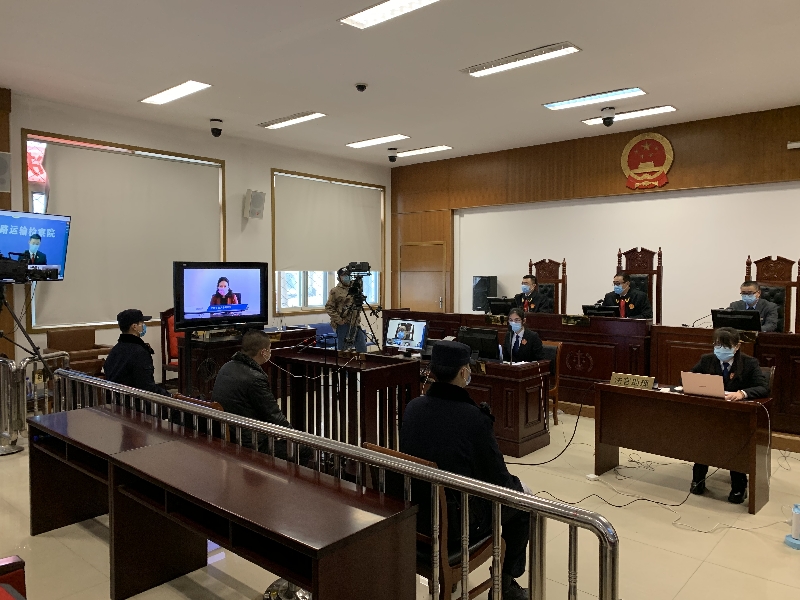 【直播】抗“疫”法治前线|江苏徐州非法毒猎野生鸟类案开庭审理 【直播】抗“疫”法治前线|江苏徐州非法毒猎野生鸟类案开庭审理