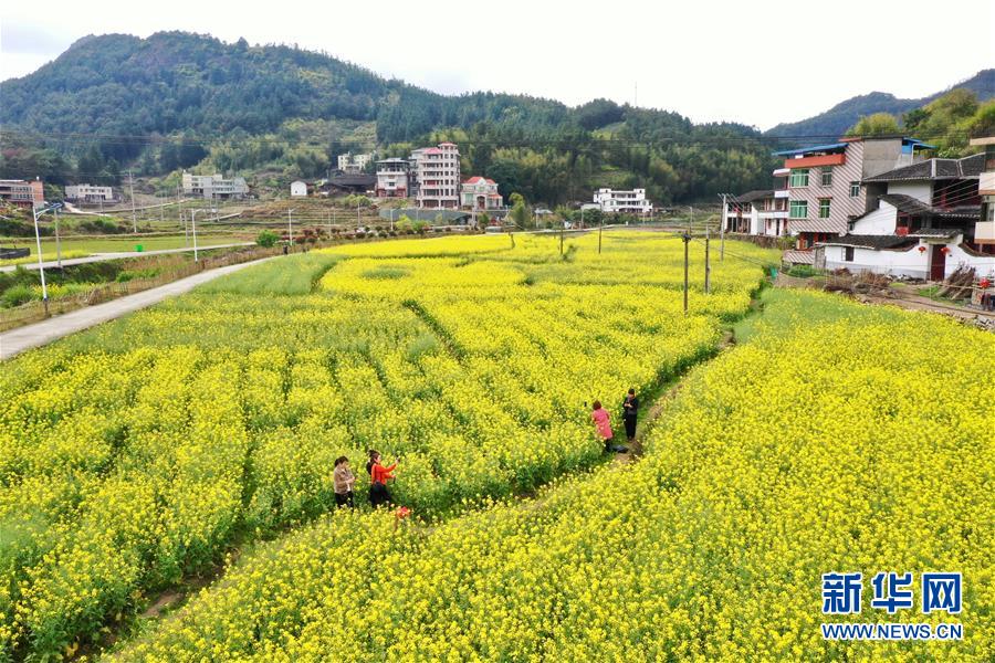 “中华好妈妈水晶宝贝公益助孕计划”在京启动