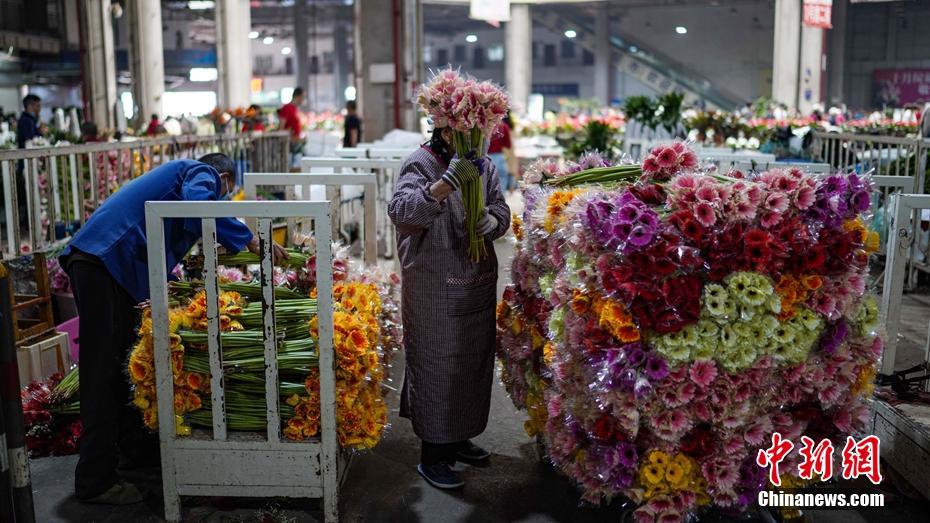 昆明斗南花卉市场交易回暖 昆明斗南花卉市场交易回暖