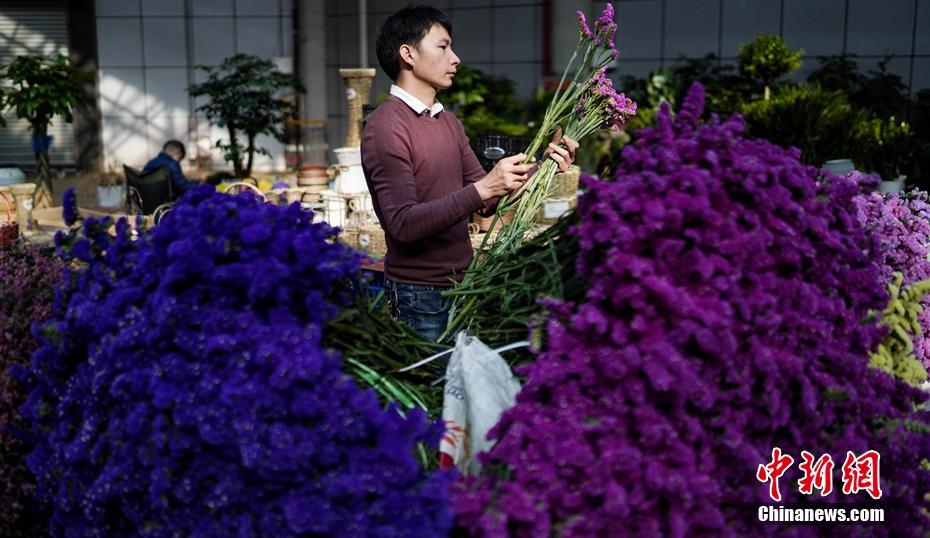 昆明斗南花卉市场交易回暖 昆明斗南花卉市场交易回暖