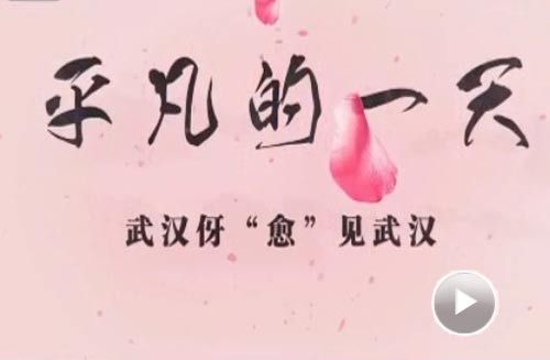 阳光跟帖•“阳光主播”优秀短视频展播（三）