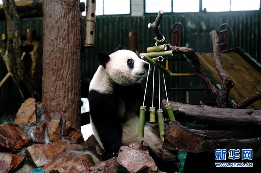 肺炎疫苗接种的必要性