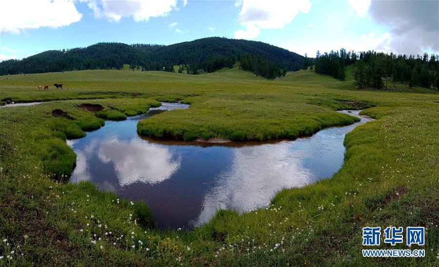 肺炎疫苗接种的必要性