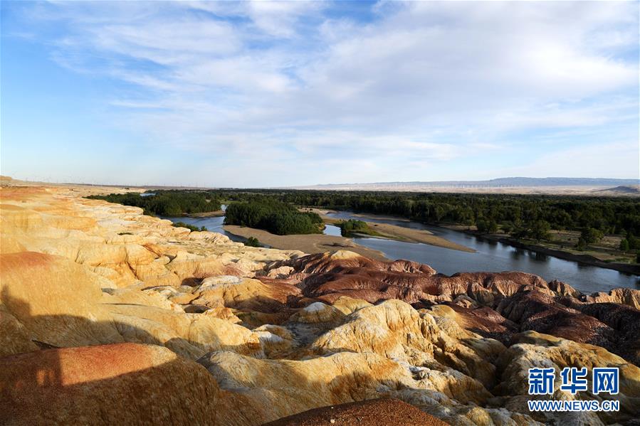 肺炎疫苗接种的必要性