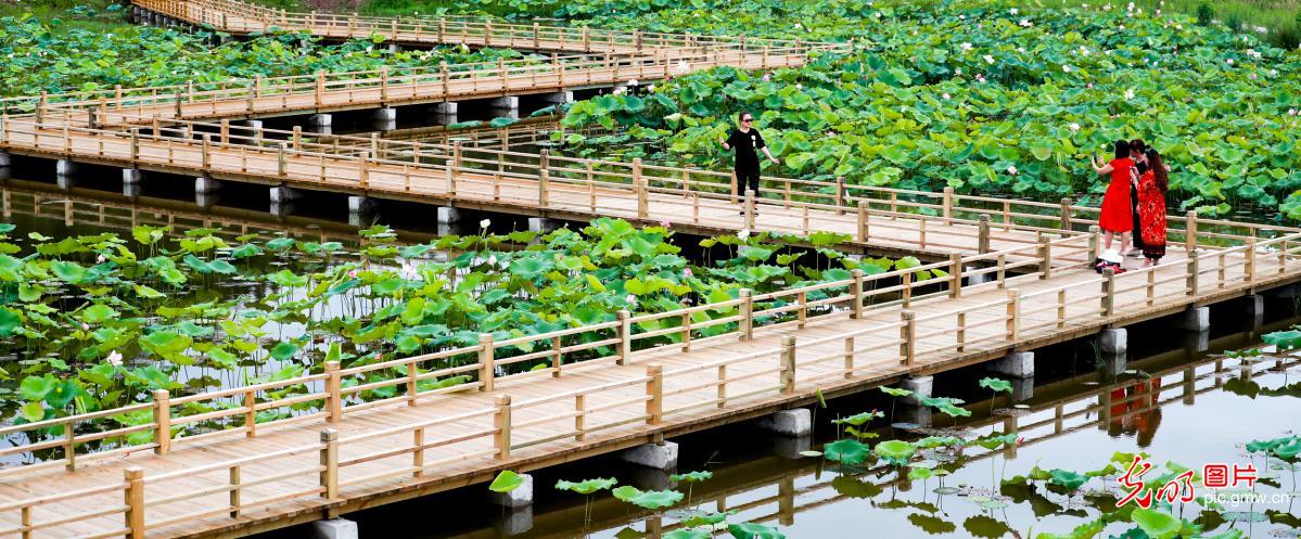 四川广安：湿地公园助增收
