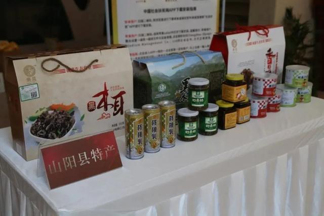 脱贫攻坚|浐灞携手山阳 共谋发展新篇章