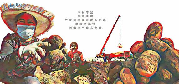 阳光跟帖丨丰收的中国手绘视频 网友：看完才知我们的饭碗有多重