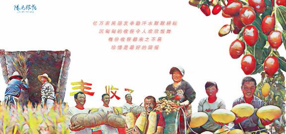 阳光跟帖丨丰收的中国手绘视频 网友：看完才知我们的饭碗有多重