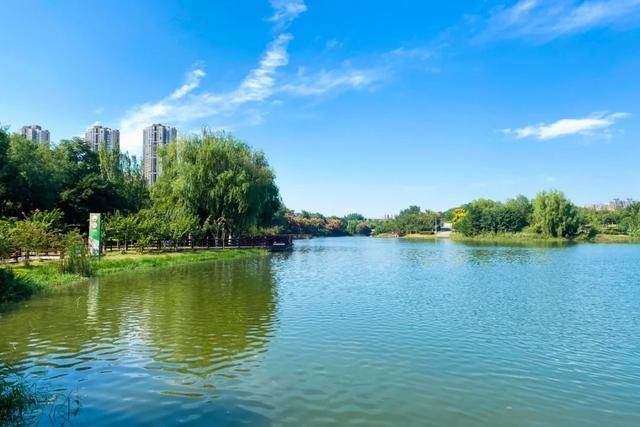 蓝天+ 绿意+ 生态+ 浐灞幸福加“靓”!