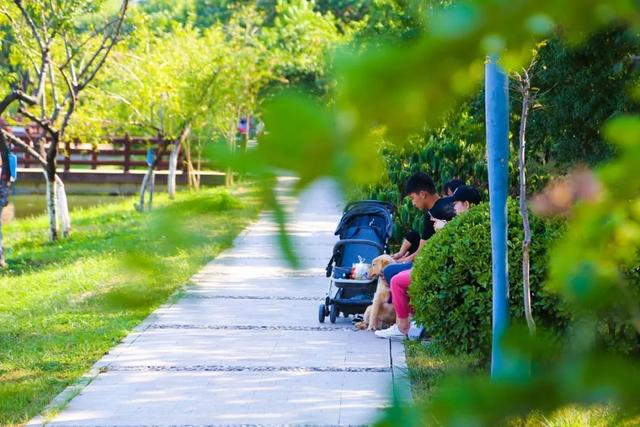 蓝天+ 绿意+ 生态+ 浐灞幸福加“靓”!