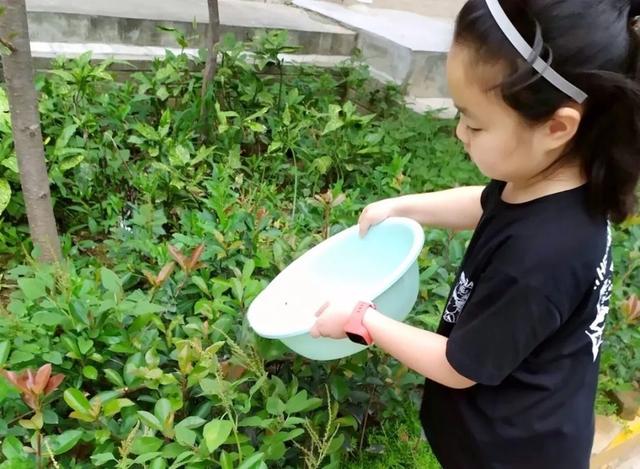 迎接十四运|志愿文明 蔚然成风