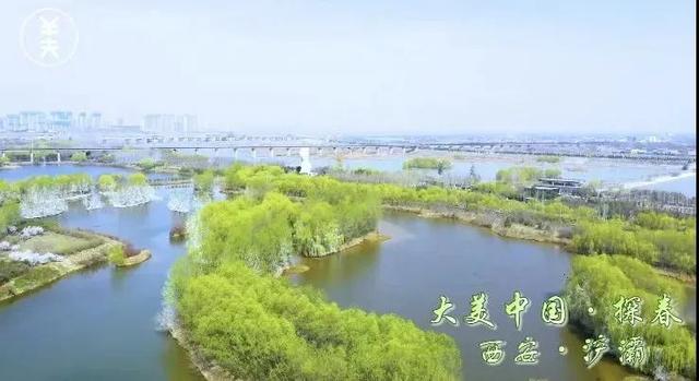 浐灞荣获全国“2020·最美探春地”