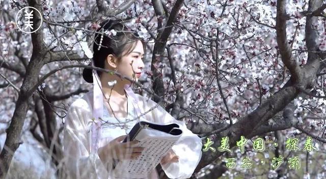 浐灞荣获全国“2020·最美探春地”