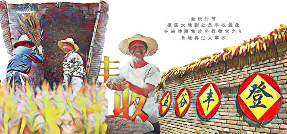 丰收的中国手绘视频 网友：看完才知我们的饭碗有多重