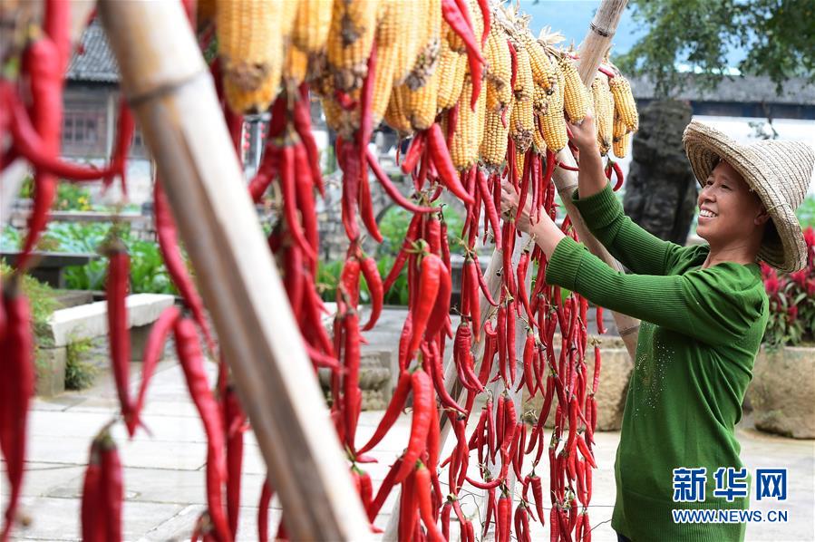 上海海洋大学2020年_动态|上海海洋大学举行第二期“同心沙龙”