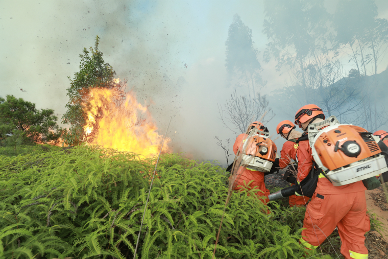 联合演练出成效,灭火场上见真章 联合演练出成效,灭火场上见真章