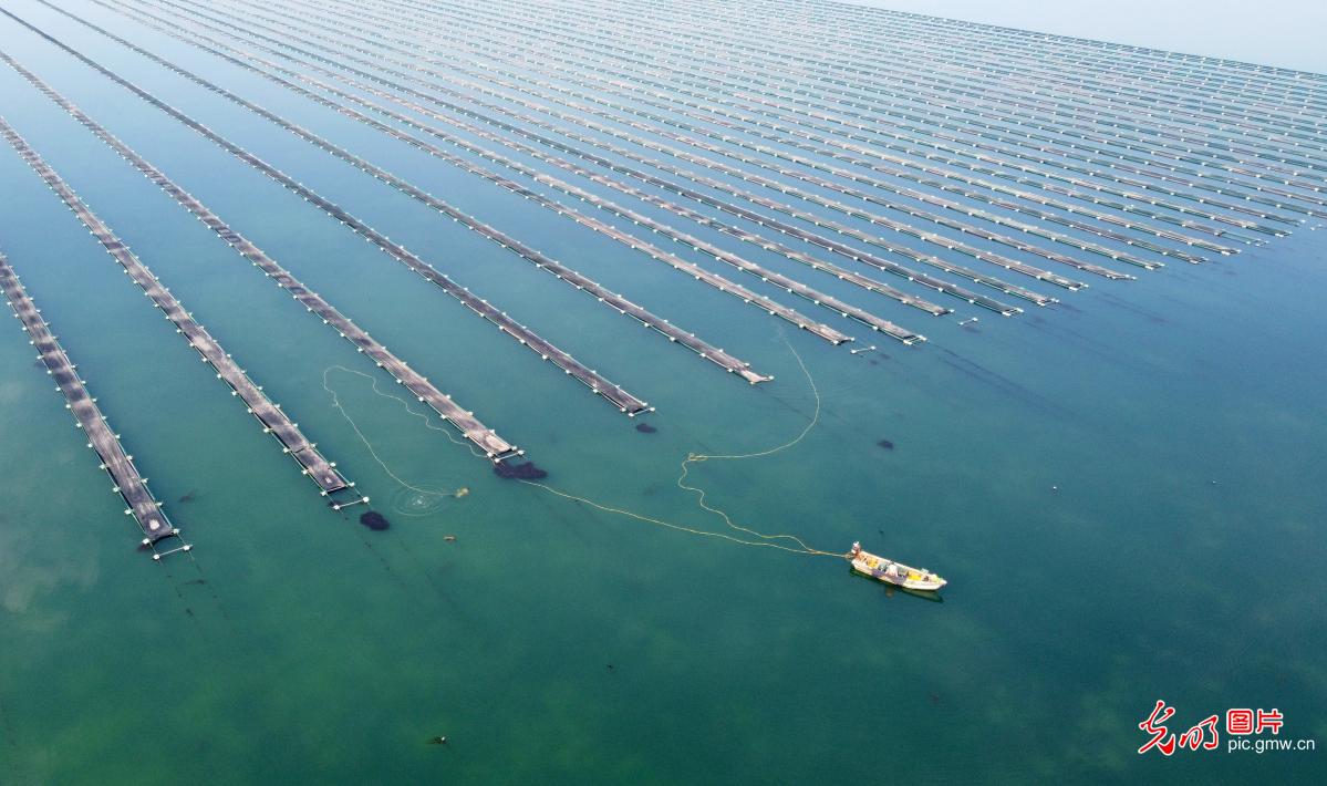 2020年安徽省本科大_每日一校2020年安徽工业大学各批次录取人数与分数