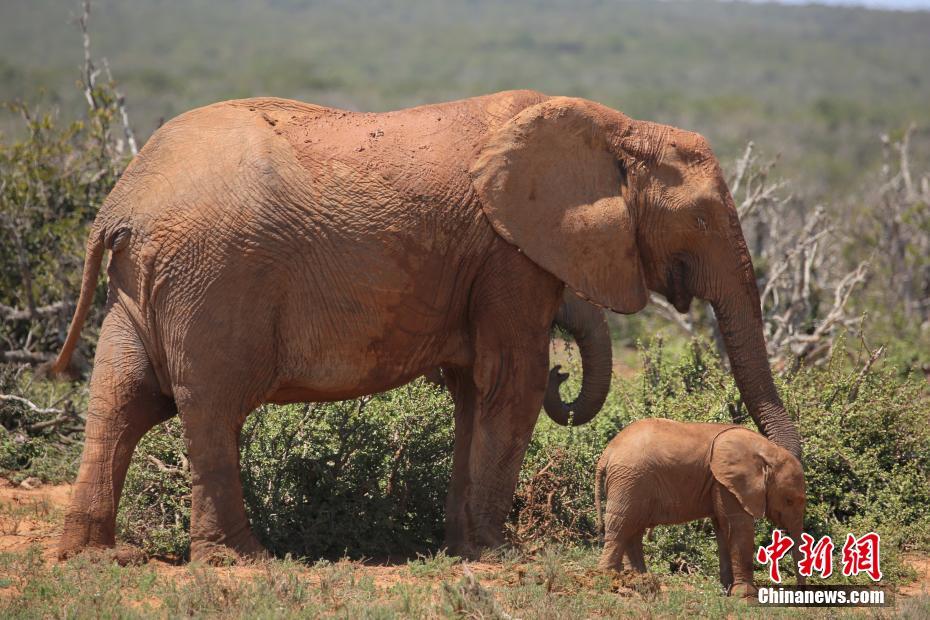 2020年世界工科大学_2020年QS世界大学生物科学专业排名TOP100