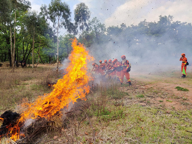 百余场鏖战火魔——记云南昆明大队禄劝中队班长韦炳松