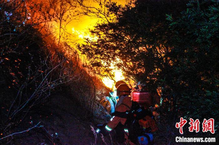 无数次直面火海,他们只有平安归来才敢给家里打电话