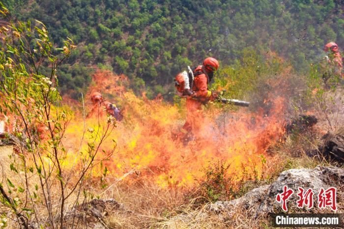 无数次直面火海,他们只有平安归来才敢给家里打电话