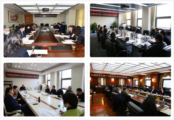 民建北京市第十一届委员会第十次全体会议召开