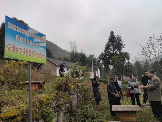 集民建之智 绘美好 黔西 聚民建之才 建杜鹃之乡