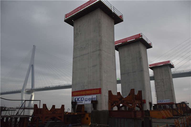 距离主线贯通目标再近一步！浙江交通集团舟岱大桥墩身全部架设完成