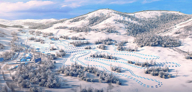 冬残奥会项目-越野滑雪