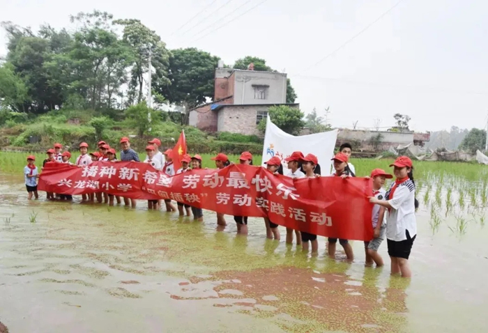 水稻种植、职业体验……重庆市永川区兴龙湖小学这样开展劳动教育